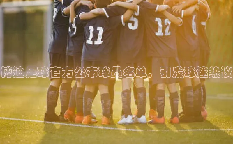 熊猫体育福石控股博迪足球官方公布球员名单，引发球迷热议