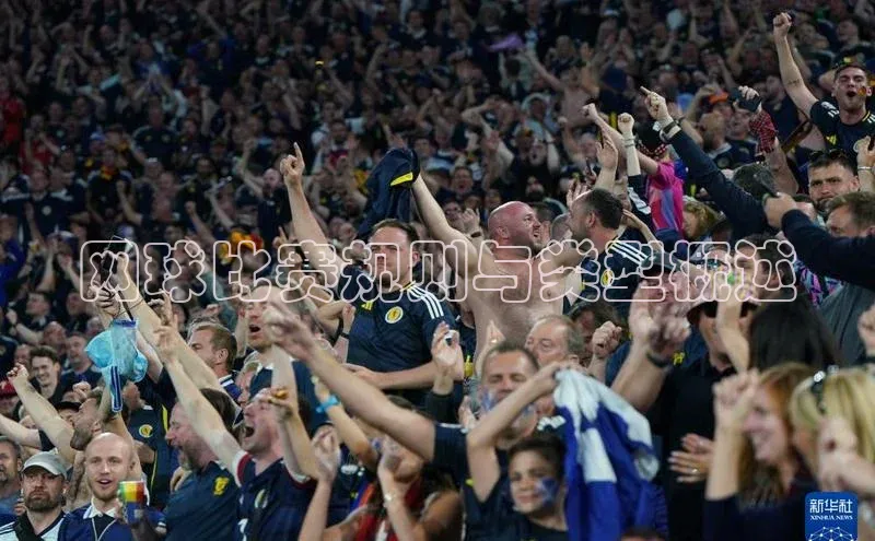 网球比赛规则与类型概述