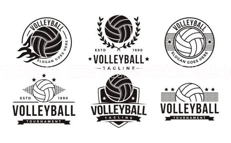 飞跃竞技：运动飞机赛事的极限与魅力