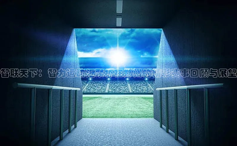 智联天下：智力运动汇聚杯在郑州的精彩赛事回顾与展望