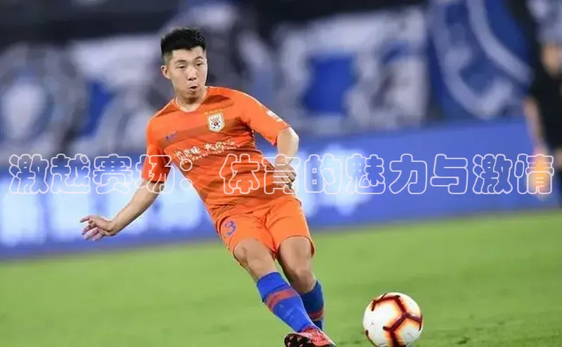 激越赛场：体育的魅力与激情