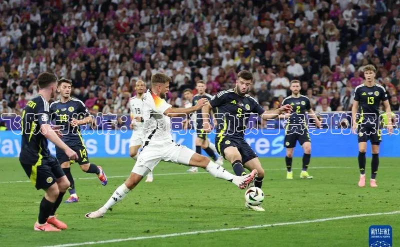 飞跃与激情：不同运动项目赛事的深度