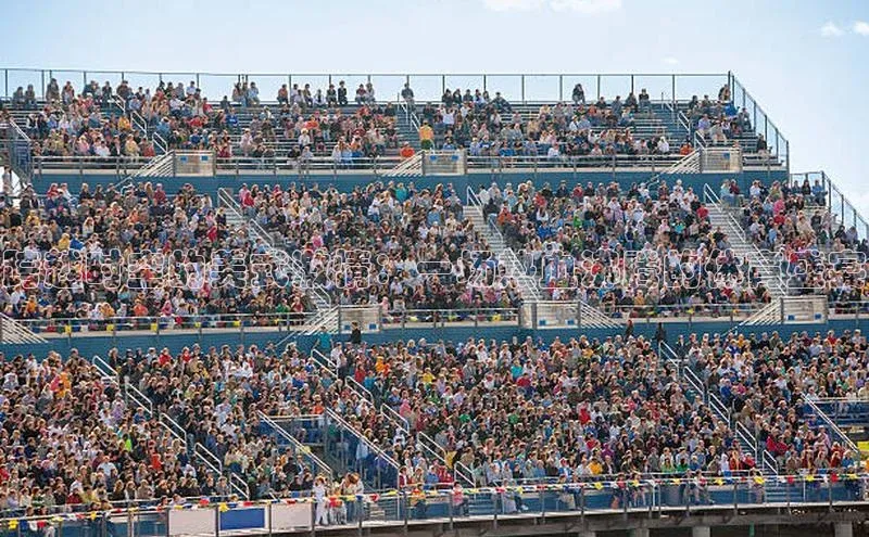 熊猫体育直播免费观看