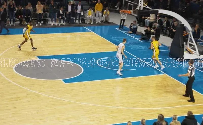 银龄风采：辽宁老年运动会网球赛事精彩回顾