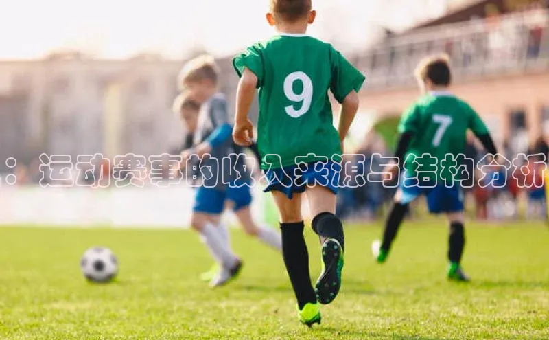 ：运动赛事的收入来源与结构分析