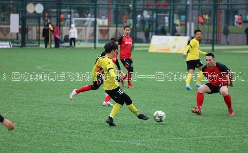 ：运动赛事背后的精彩故事与规则——运动赛事手册介绍语句