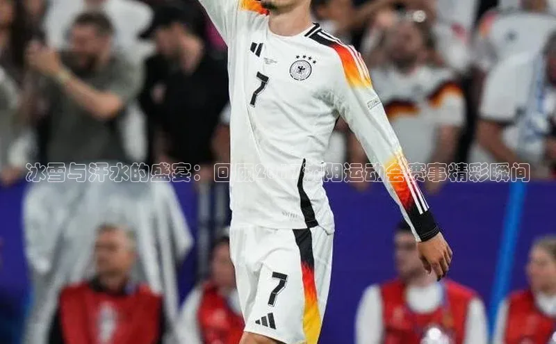 冰雪与汗水的盛宴：回顾2017沈阳运动会赛事精彩瞬间