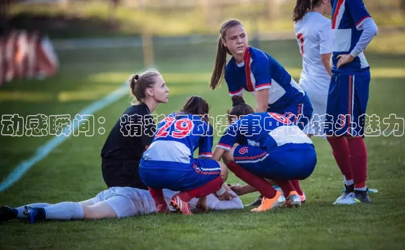 熊猫体育直播app