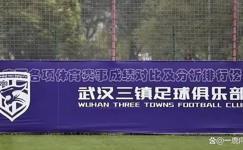 熊猫体育官方网站