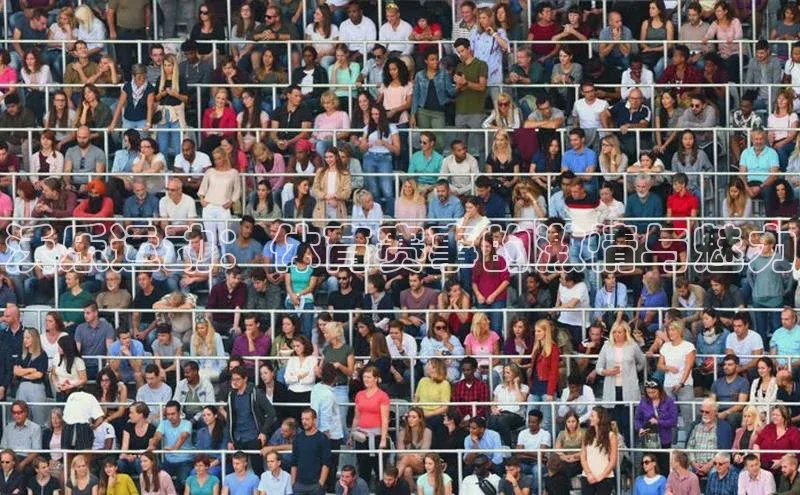 沃乐运动：体育赛事的激情与魅力