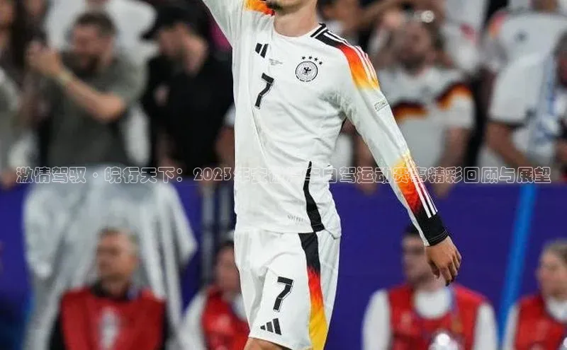 熊猫体育平台官网