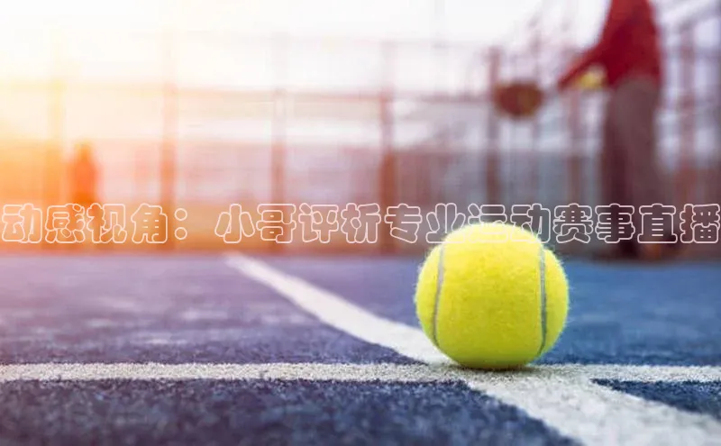 动感视角：小哥评析专业运动赛事直播
