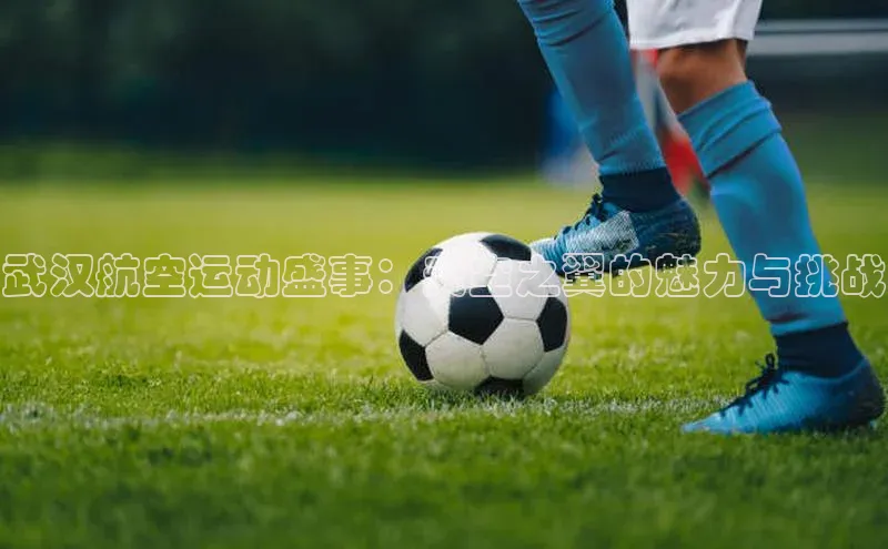 武汉航空运动盛事：天空之翼的魅力与挑战
